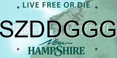SZDDGGG New Hampshire License Plate
