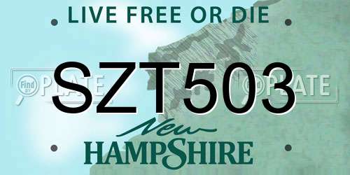 SZT503 New Hampshire License Plate