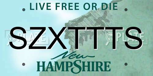 SZXTTTS New Hampshire License Plate