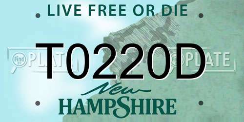 T0220D New Hampshire License Plate