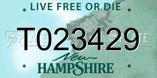 T023429 New Hampshire License Plate
