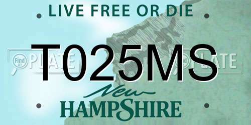 T025MS New Hampshire License Plate