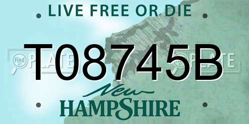 T08745B New Hampshire License Plate