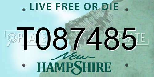 T087485 New Hampshire License Plate