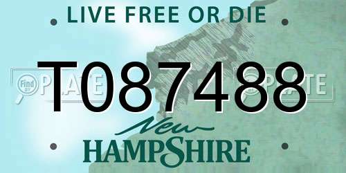 T087488 New Hampshire License Plate