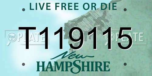 T119115 New Hampshire License Plate