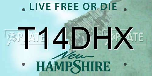 T14DHX New Hampshire License Plate