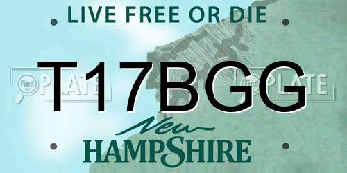 T17BGG New Hampshire License Plate