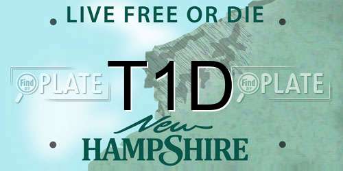 T1D New Hampshire License Plate
