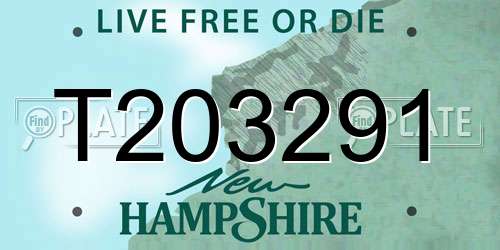T203291 New Hampshire License Plate