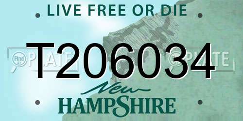 T206034 New Hampshire License Plate