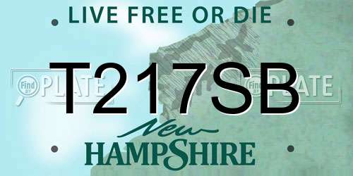 T217SB New Hampshire License Plate