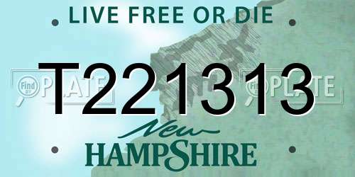 T221313 New Hampshire License Plate