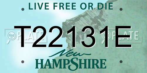 T22131E New Hampshire License Plate