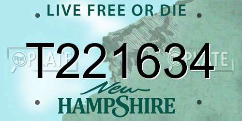 T221634 New Hampshire License Plate