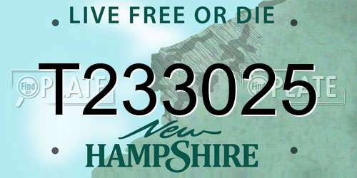 T233025 New Hampshire License Plate