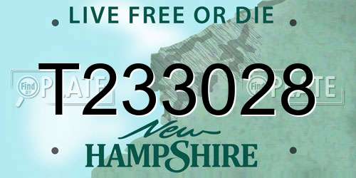 T233028 New Hampshire License Plate