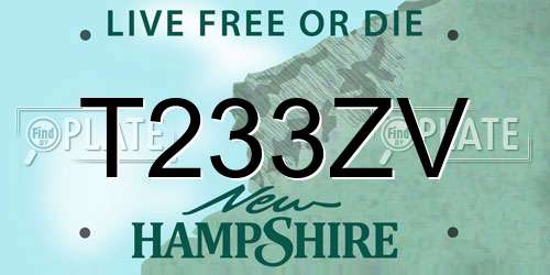 T233ZV New Hampshire License Plate