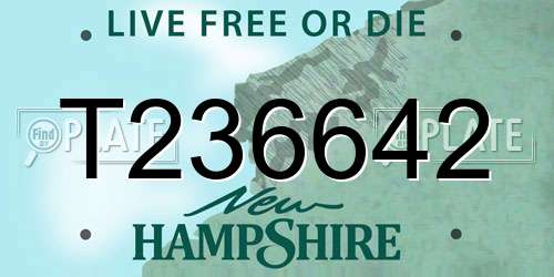 T236642 New Hampshire License Plate