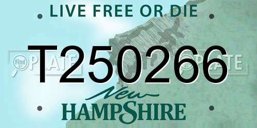 T250266 New Hampshire License Plate