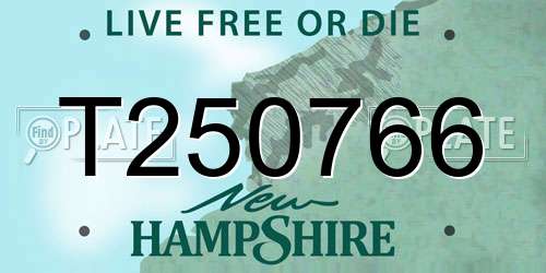 T250766 New Hampshire License Plate