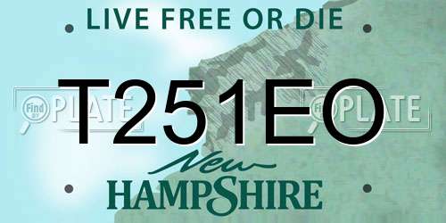 T251EO New Hampshire License Plate