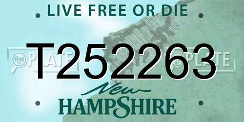 T252263 New Hampshire License Plate