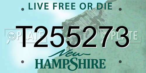 T255273 New Hampshire License Plate