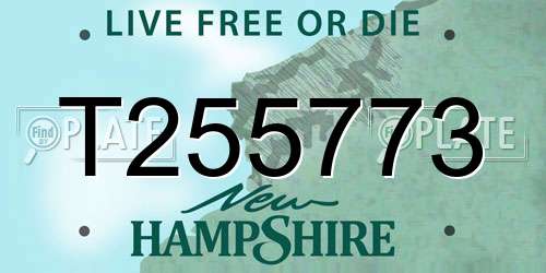 T255773 New Hampshire License Plate