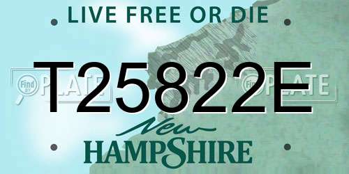 T25822E New Hampshire License Plate