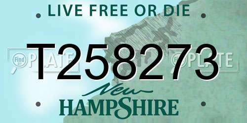 T258273 New Hampshire License Plate
