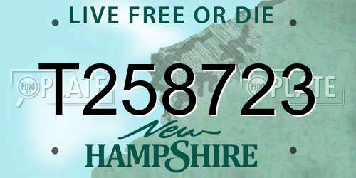 T258723 New Hampshire License Plate