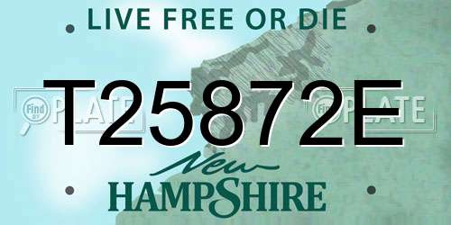 T25872E New Hampshire License Plate