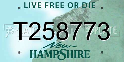 T258773 New Hampshire License Plate