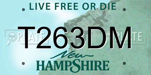 T263DM New Hampshire License Plate