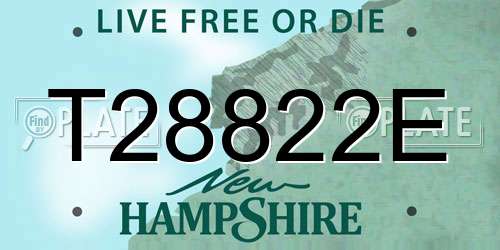 T28822E New Hampshire License Plate