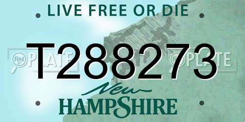 T288273 New Hampshire License Plate