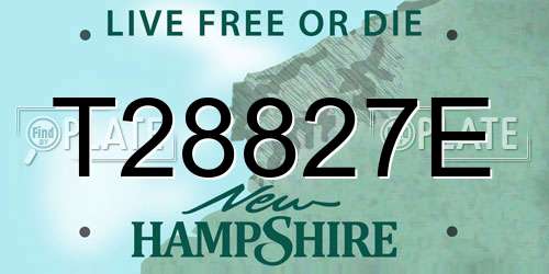 T28827E New Hampshire License Plate