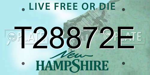 T28872E New Hampshire License Plate