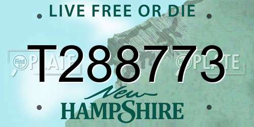 T288773 New Hampshire License Plate