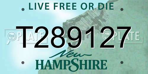 T289127 New Hampshire License Plate
