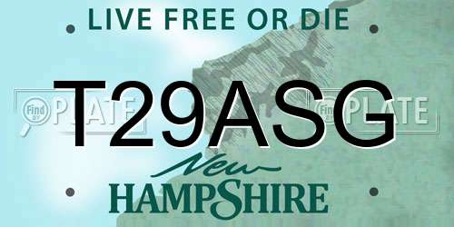 T29ASG New Hampshire License Plate