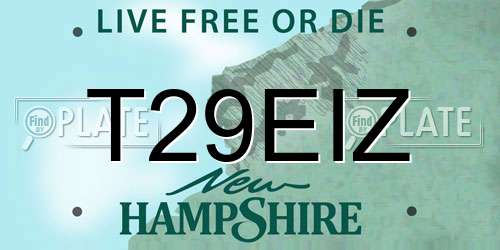 T29EIZ New Hampshire License Plate