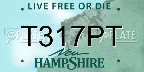 T317PT New Hampshire License Plate