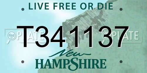 T341137 New Hampshire License Plate