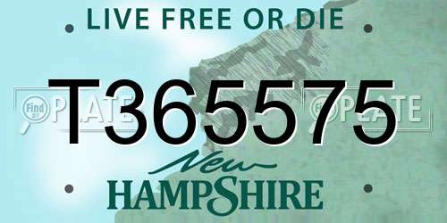 T365575 New Hampshire License Plate