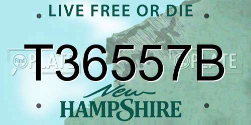 T36557B New Hampshire License Plate