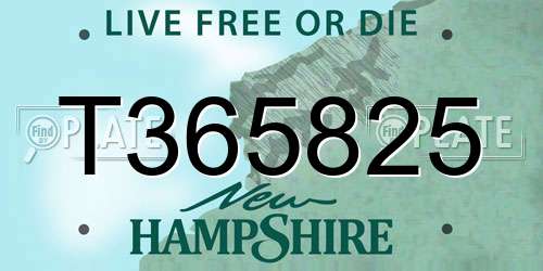 T365825 New Hampshire License Plate