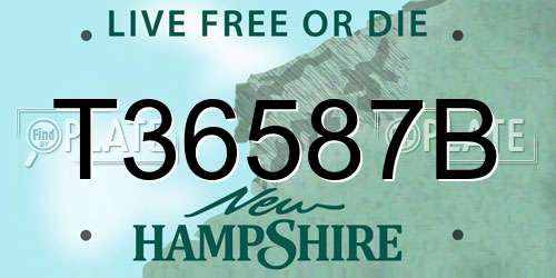 T36587B New Hampshire License Plate