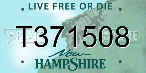 T371508 New Hampshire License Plate